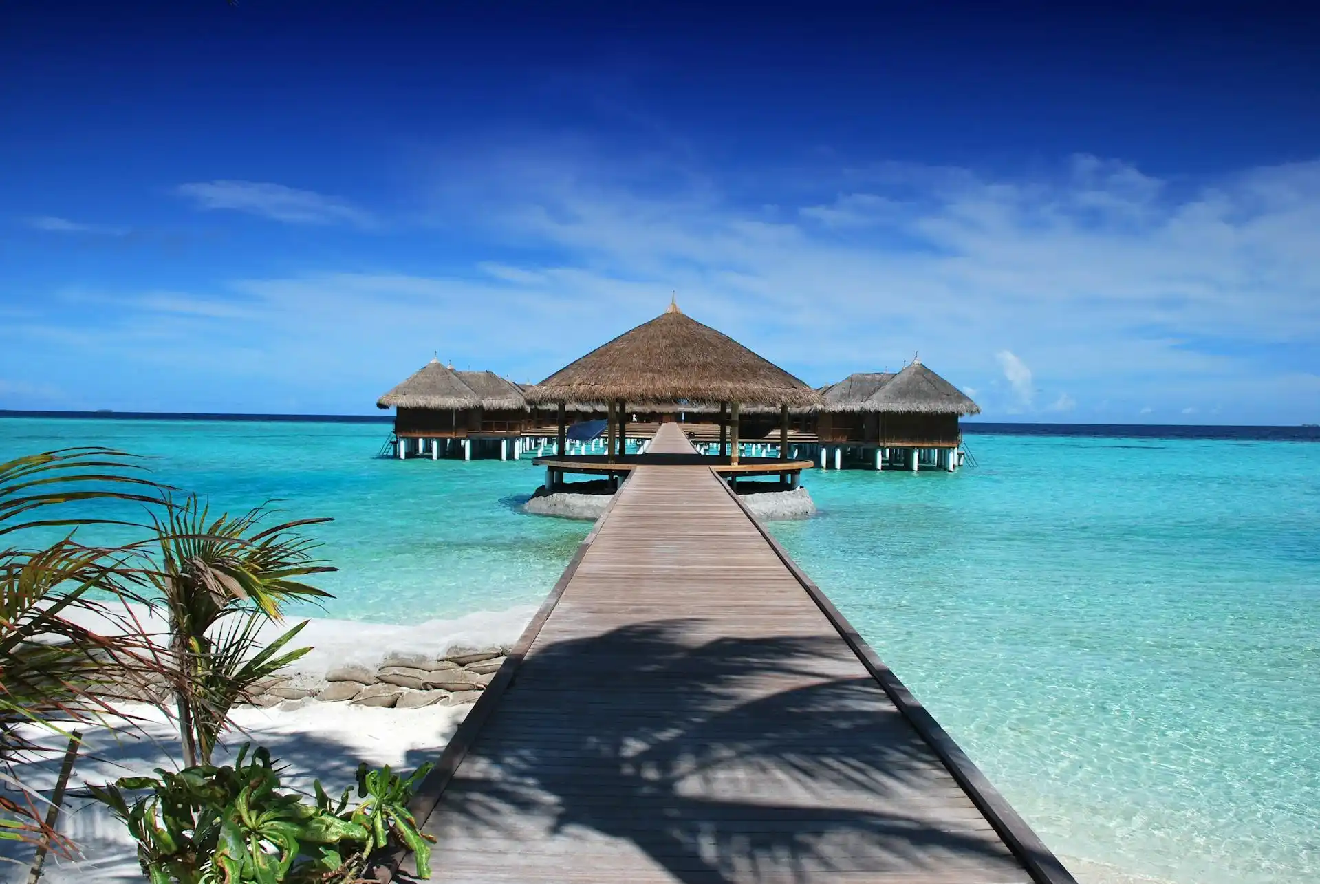 welcome-banner
